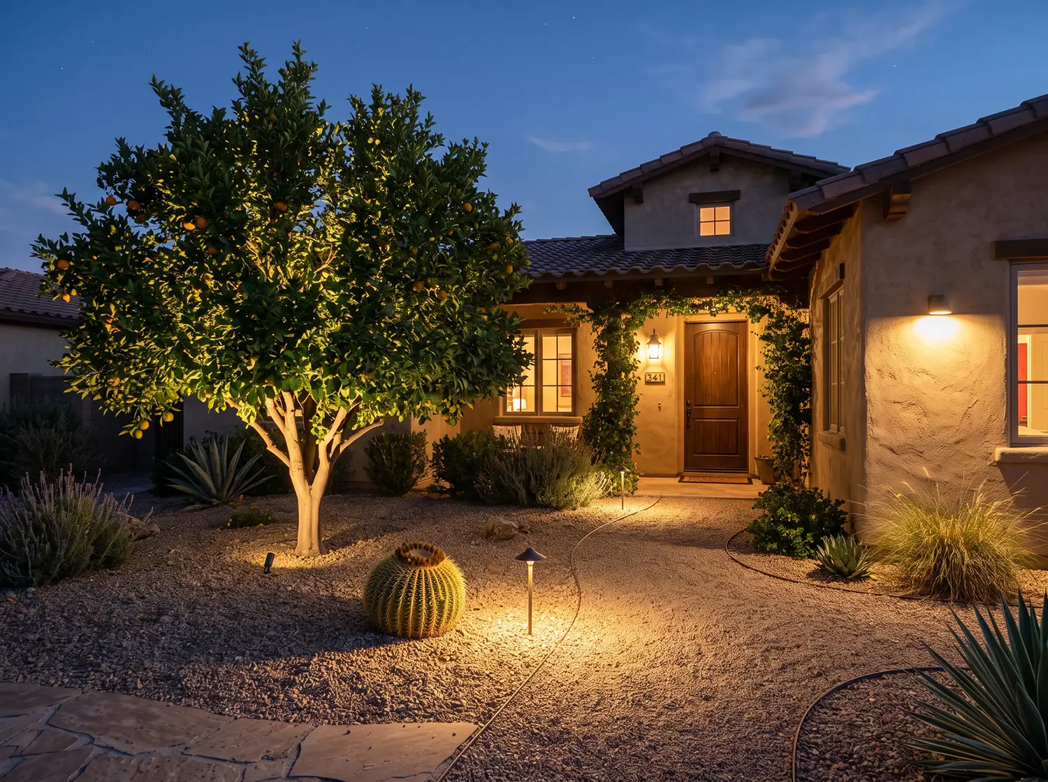 Desert landscape lighting on a Sun City, Arizona home with up-lit plants at night